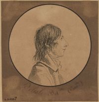 Portrait de Alire Raffeneau-Delile