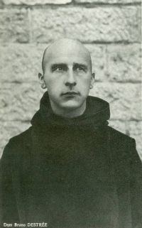 Portrait de Bruno Destrée