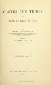 Image de Castes and Tribes of Southern India