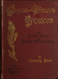 Image de Wayside and Woodland Blossoms