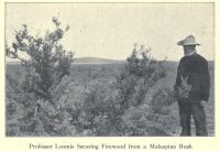 Frederic Brewster Loomis
