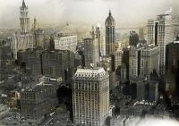 Image de What I saw in America