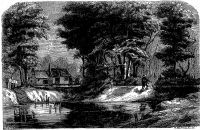 Image de Le Meunier d’Angibault