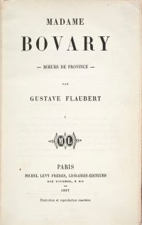 Image de Madame Bovary