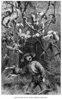 Image de The Naturalist on the River Amazons
