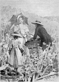 Image de The Lily of the Valley