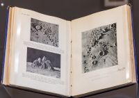 Image de The Moon: considered as a planet, a world, and a satellite