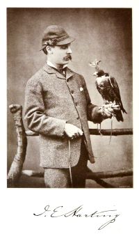 James Edmund Fotheringham Harting