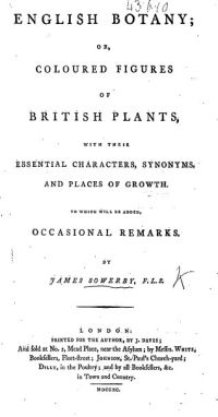 Image de English Botany