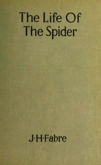 Image de The Life of the Spider