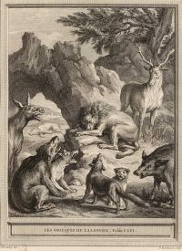 Image de Les Obsèques de la Lionne