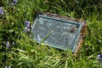 Image de Jessie Margaret Edmondston Saxby