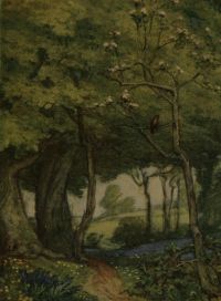 Image de Ode to a Nightingale