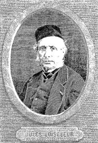 Jules Loiseleur