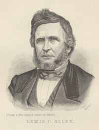 Portrait de Lewis Falley Allen