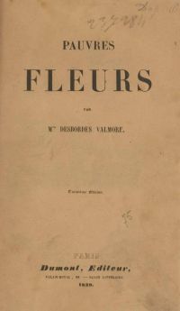Image de Pauvres fleurs