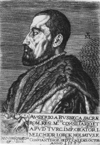 Portrait of Ogier Ghislain de Busbecq
