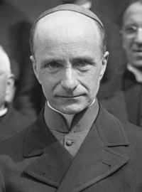 Portrait de Pierre Petit de Julleville