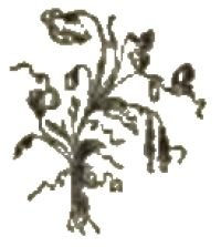 Image de Two Poems - E B Browning and R Browning