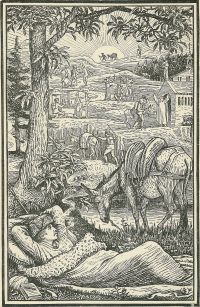Image de Travels with a Donkey in the Cevennes