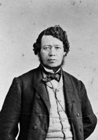 Portrait de Thomas D'Arcy McGee