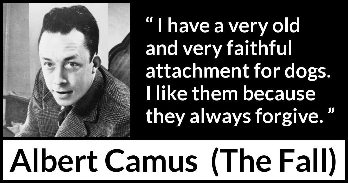 Albert Camus quote about forgiveness from The Fall - I have a very old and very faithful attachment for dogs. I like them because they always forgive.