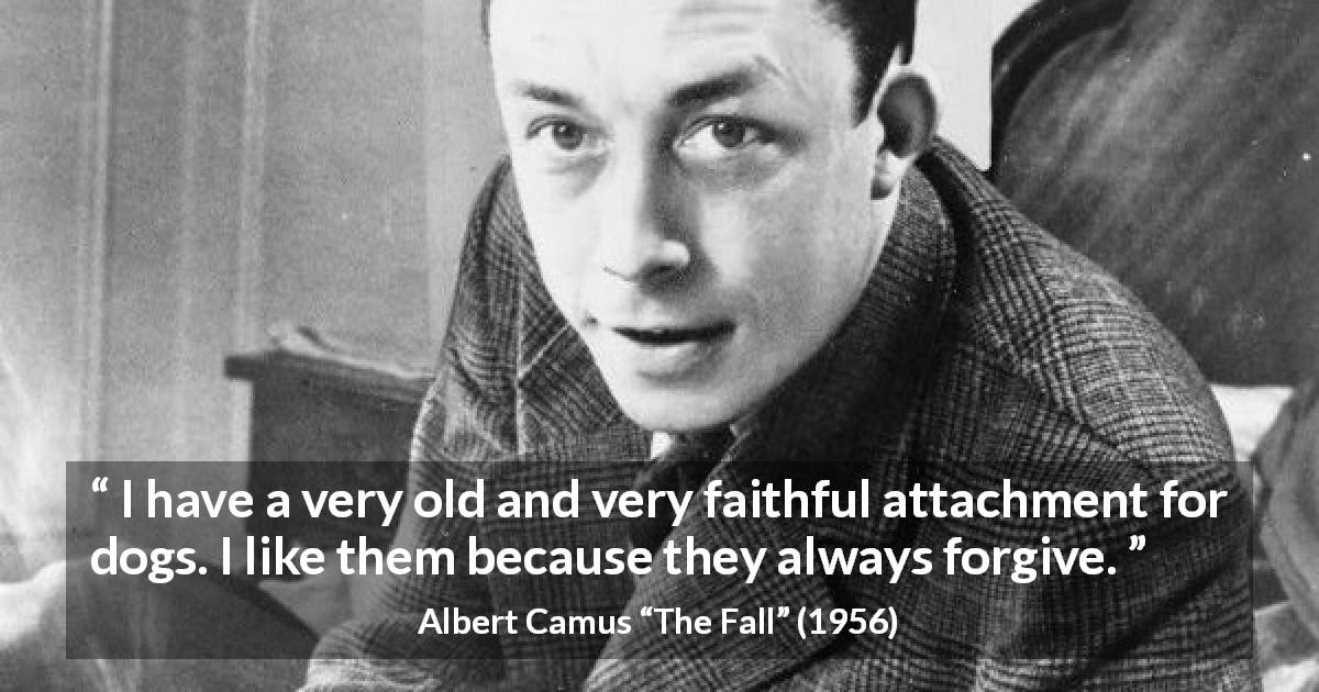 Albert Camus quote about forgiveness from The Fall - I have a very old and very faithful attachment for dogs. I like them because they always forgive.