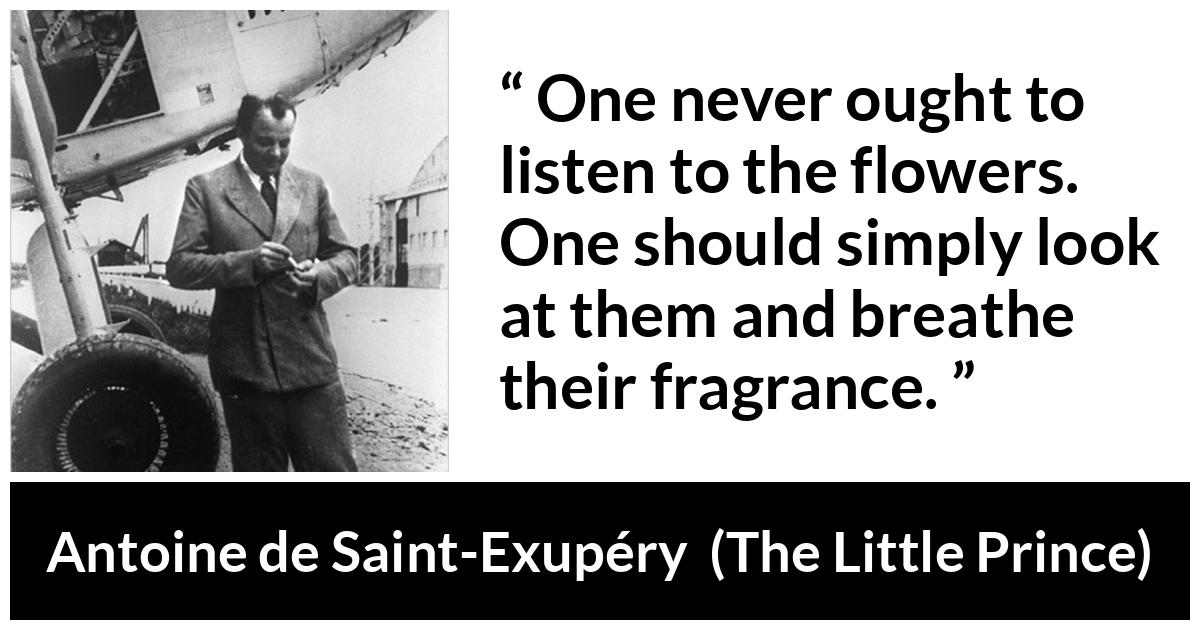 Antoine de Saint-Exupéry about beauty (“The Little Prince”, 1943) Antoine de Saint-Exupéry about beauty (“The Little Prince”, 1943) - One never ought to listen to the flowers. One should simply look at them and breathe their fragrance.
