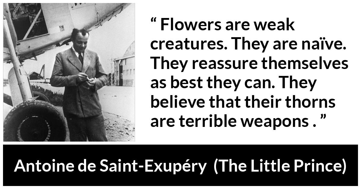 Antoine de Saint-Exupéry about weakness (“The Little Prince”, 1943) Antoine de Saint-Exupéry about weakness (“The Little Prince”, 1943) - Flowers are weak creatures. They are naïve. They reassure themselves as best they can. They believe that their thorns are terrible weapons .