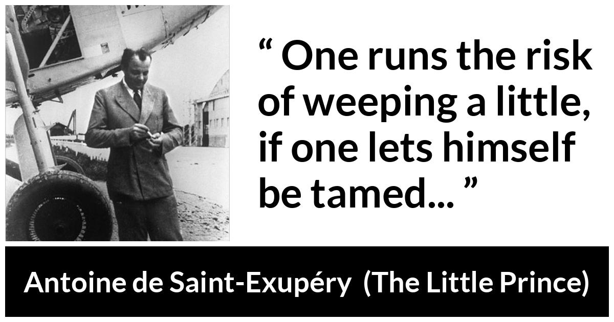 Antoine de Saint-Exupéry about weeping (“The Little Prince”, 1943) Antoine de Saint-Exupéry about weeping (“The Little Prince”, 1943) - One runs the risk of weeping a little, if one lets himself be tamed...