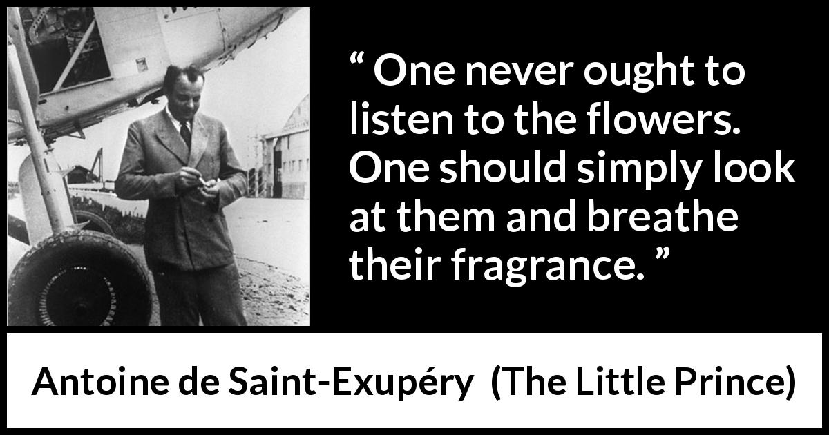 Antoine de Saint-Exupéry quote about beauty from The Little Prince - One never ought to listen to the flowers. One should simply look at them and breathe their fragrance.