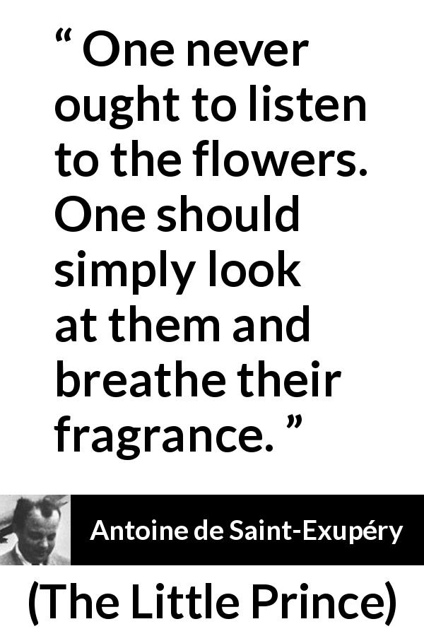 Antoine de Saint-Exupéry quote about beauty from The Little Prince - One never ought to listen to the flowers. One should simply look at them and breathe their fragrance.