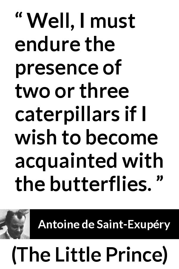 Antoine de Saint-Exupéry quote about compromise from The Little Prince - Well, I must endure the presence of two or three caterpillars if I wish to become acquainted with the butterflies.