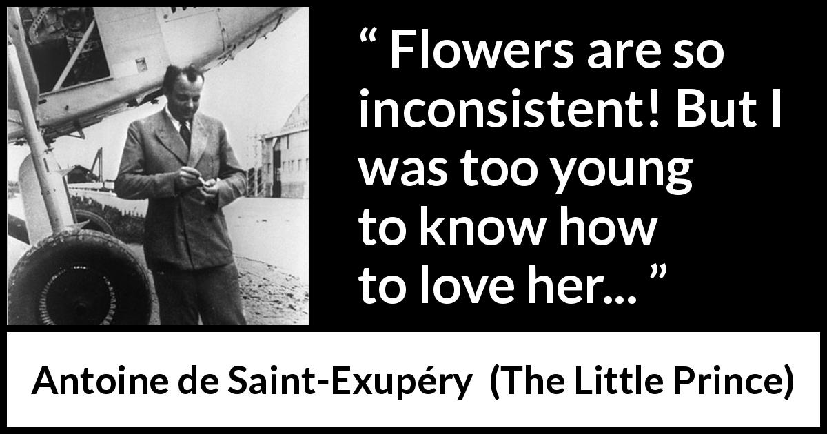 Antoine de Saint-Exupéry quote about love from The Little Prince - Flowers are so inconsistent! But I was too young to know how to love her...