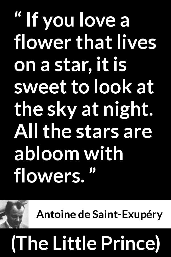 Antoine de Saint-Exupéry quote about love from The Little Prince - If you love a flower that lives on a star, it is sweet to look at the sky at night. All the stars are abloom with flowers.