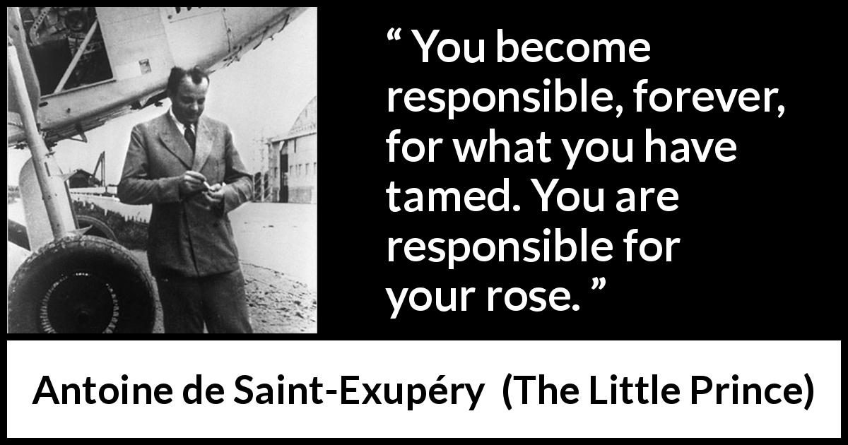 Antoine de Saint-Exupéry quote about responsibility from The Little Prince - You become responsible, forever, for what you have tamed. You are responsible for your rose.