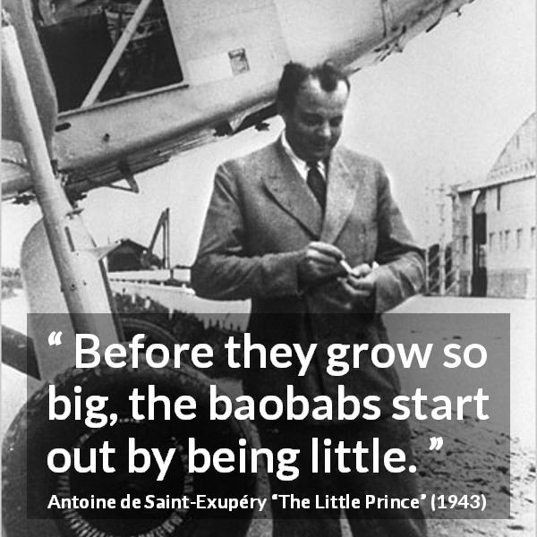 Antoine de Saint-Exupéry quote about time from The Little Prince - Before they grow so big, the baobabs start out by being little.