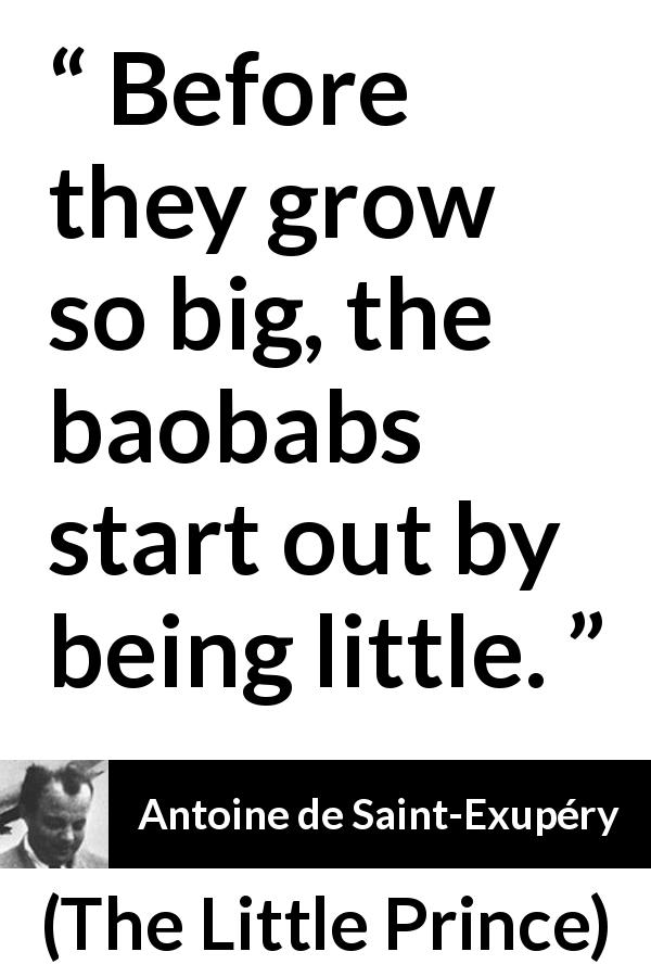 Antoine de Saint-Exupéry quote about time from The Little Prince - Before they grow so big, the baobabs start out by being little.