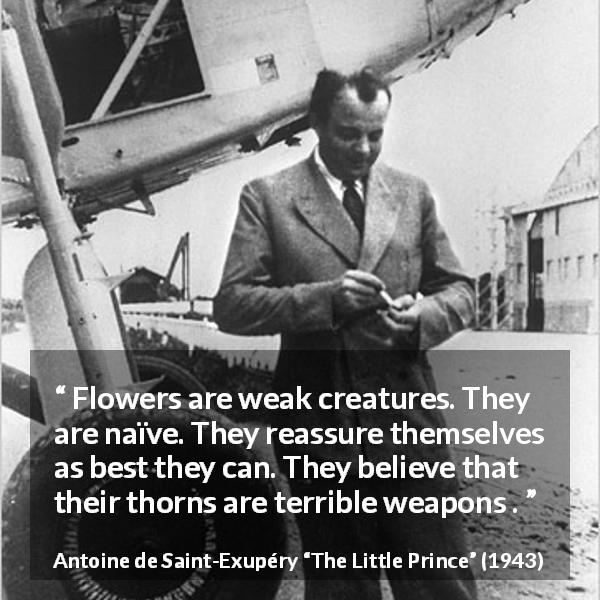 Antoine de Saint-Exupéry quote about weakness from The Little Prince - Flowers are weak creatures. They are naïve. They reassure themselves as best they can. They believe that their thorns are terrible weapons .