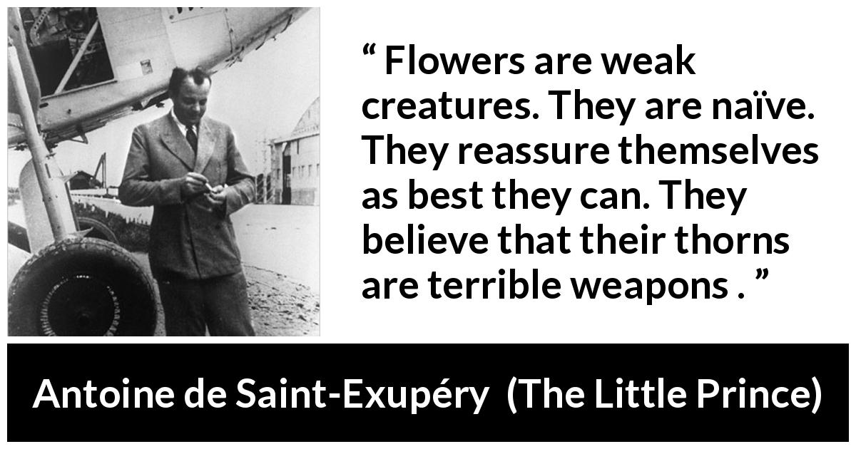 Antoine de Saint-Exupéry quote about weakness from The Little Prince - Flowers are weak creatures. They are naïve. They reassure themselves as best they can. They believe that their thorns are terrible weapons .