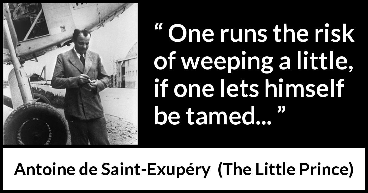Antoine de Saint-Exupéry quote about weeping from The Little Prince - One runs the risk of weeping a little, if one lets himself be tamed...