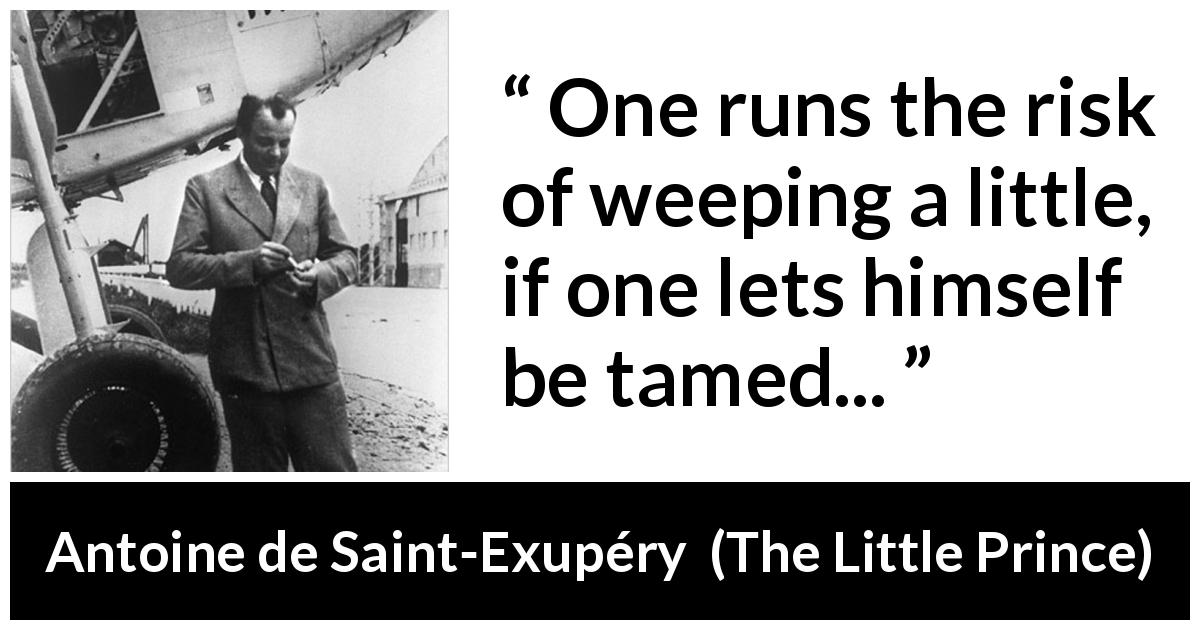 Antoine de Saint-Exupéry quote about weeping from The Little Prince - One runs the risk of weeping a little, if one lets himself be tamed...