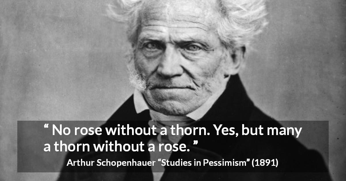 Arthur Schopenhauer quote about beauty from Studies in Pessimism - No rose without a thorn. Yes, but many a thorn without a rose.