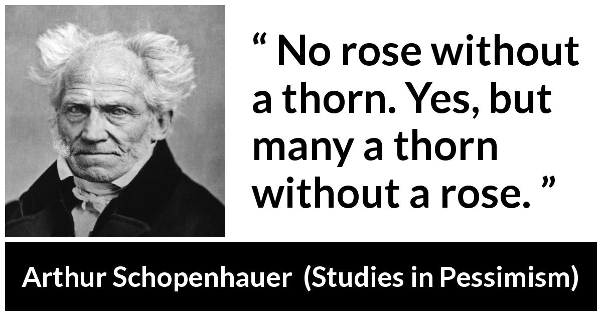 Arthur Schopenhauer quote about beauty from Studies in Pessimism - No rose without a thorn. Yes, but many a thorn without a rose.
