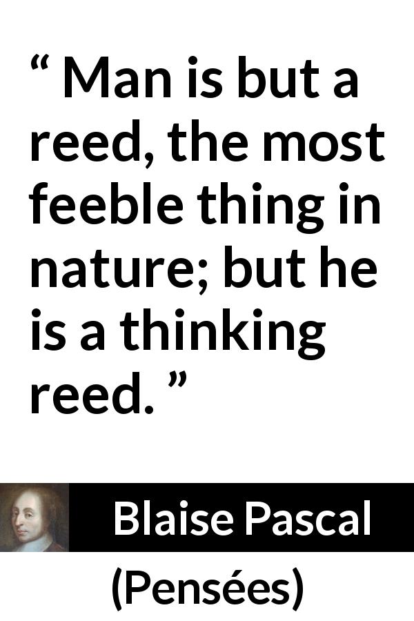 Blaise Pascal quote about weakness from Pensées - Man is but a reed, the most feeble thing in nature; but he is a thinking reed.