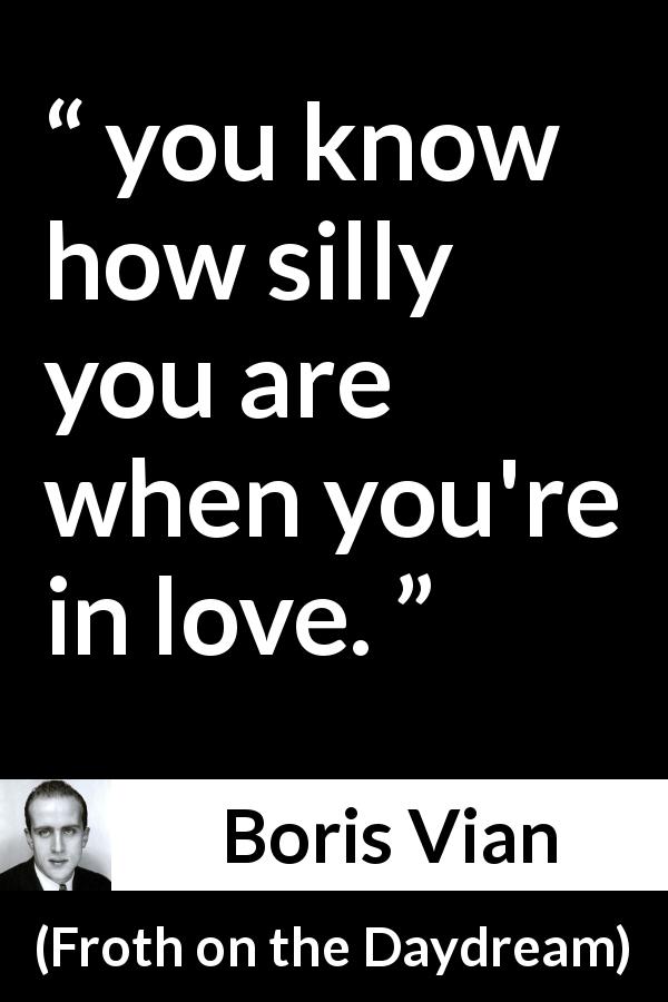 Boris Vian quote about love from Froth on the Daydream - you know how silly you are when you're in love.