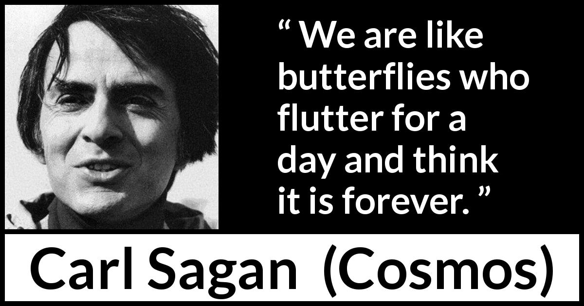 Carl Sagan quote about humanity from Cosmos - We are like butterflies who flutter for a day and think it is forever.