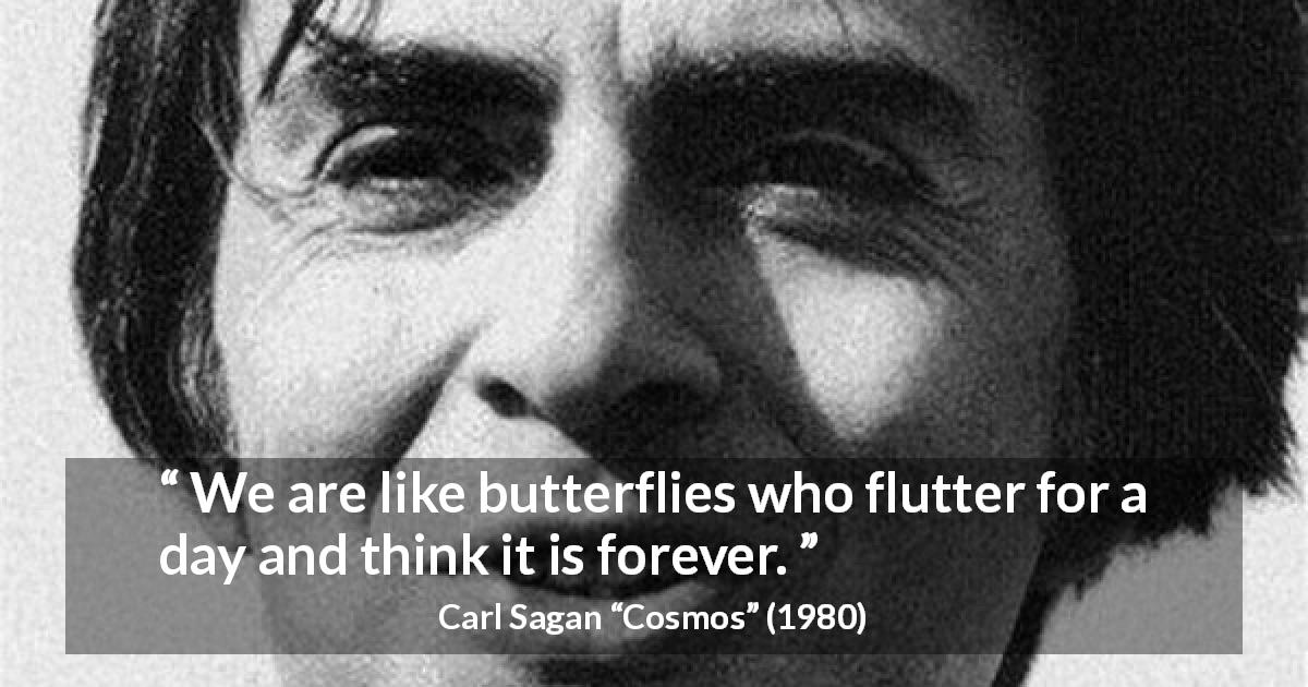 Carl Sagan quote about humanity from Cosmos - We are like butterflies who flutter for a day and think it is forever.