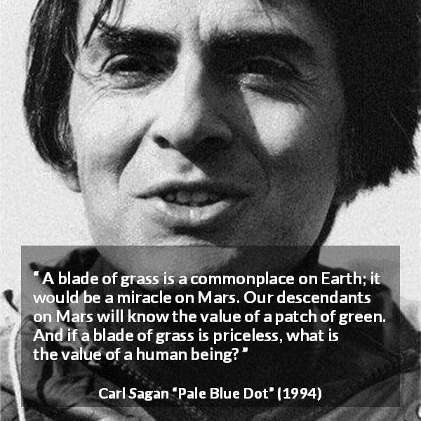 Carl Sagan quote about humanity from Pale Blue Dot - A blade of grass is a commonplace on Earth; it would be a miracle on Mars. Our descendants on Mars will know the value of a patch of green. And if a blade of grass is priceless, what is the value of a human being?