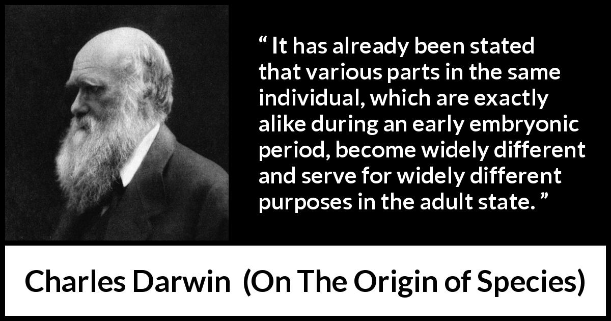 Charles Darwin quote about adult from On The Origin of Species - It has already been stated that various parts in the same individual, which are exactly alike during an early embryonic period, become widely different and serve for widely different purposes in the adult state.